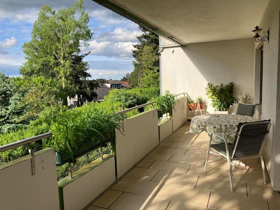Apartment Grosszuegige Mit Flair Und Aussicht