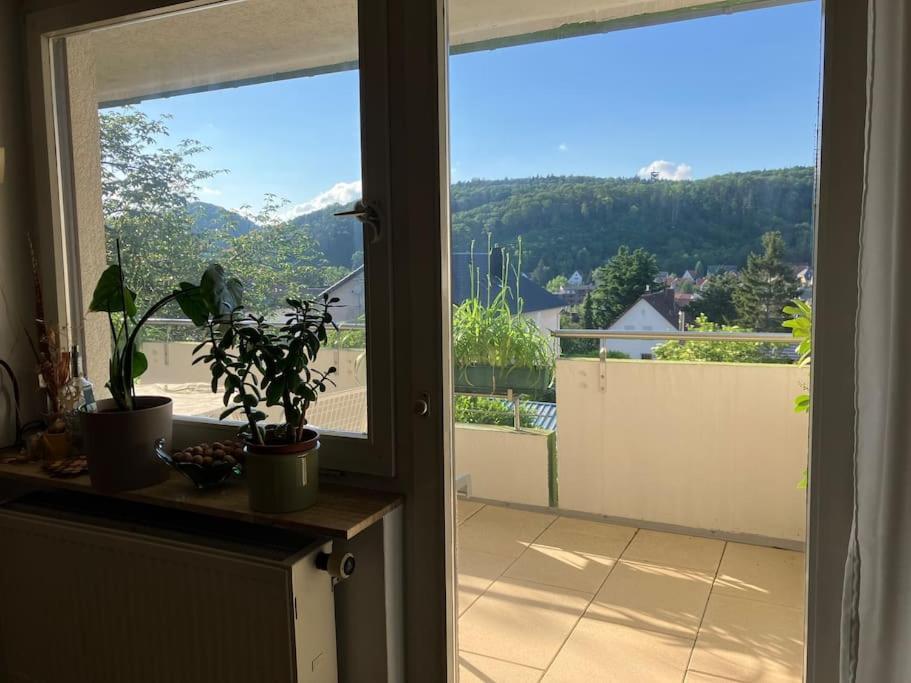 Grosszuegige Mit Flair Und Aussicht * Bad Bergzabern