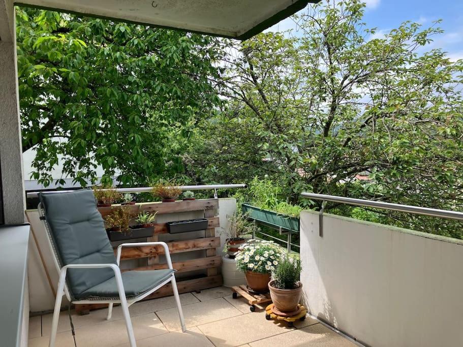 Apartment Grosszuegige Mit Flair Und Aussicht Bad Bergzabern