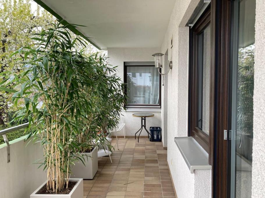Grosszuegige Mit Flair Und Aussicht Apartment